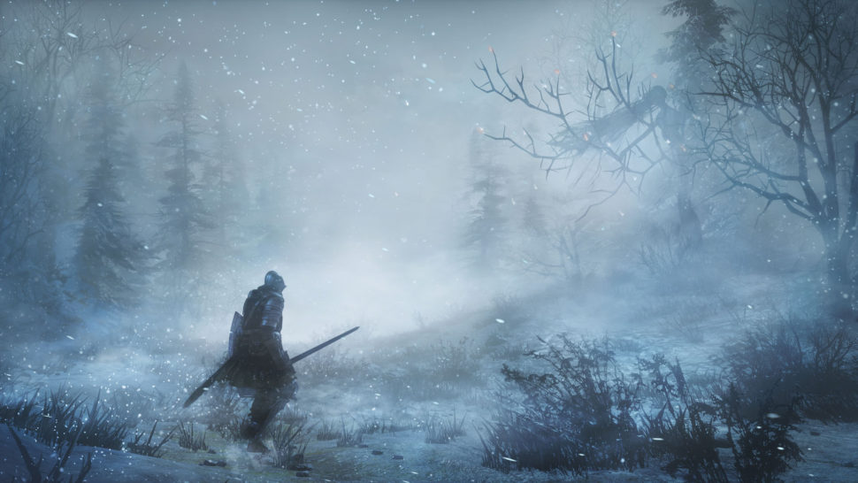 DS3 Ashes of Ariandel 6